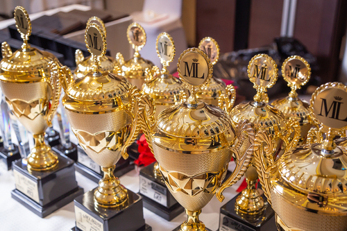 Годовая Конференция Компании Maik'Loriss! Нам - 17 лет!