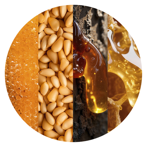 Медовые леденцы «ТВЁРДЫЙ МЁД» с прополисом и живицей